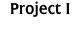 Project I